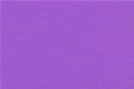 Lavender blackout blind